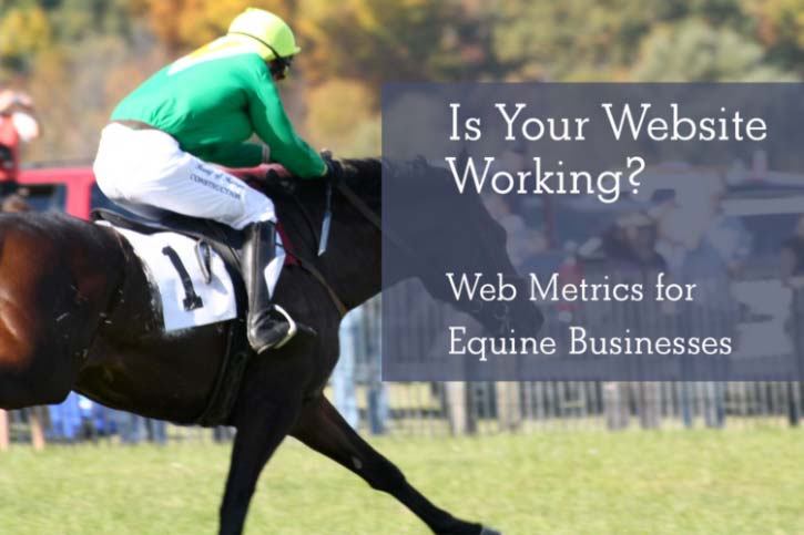 Understanding Web Metrics for Equine Businesses
