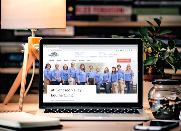 Rebranding for Genesee Valley Equine Clinic