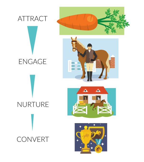 The Marketing Funnel – Explained in Horse Terms