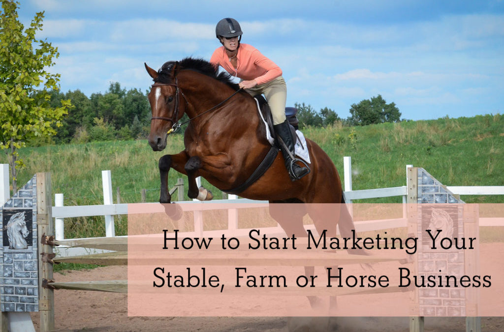 Farm Marketing Solutions For Your Stable Or Horse Business