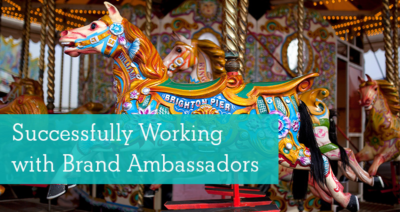 Successfully Working With A Brand Ambassador Program In Equestrian Sport