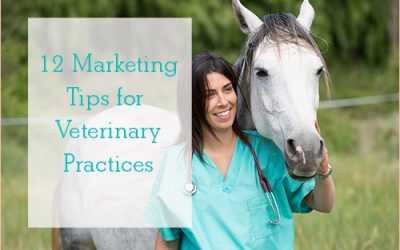 Veterinary Marketing Tips – 12 Tips for Practices