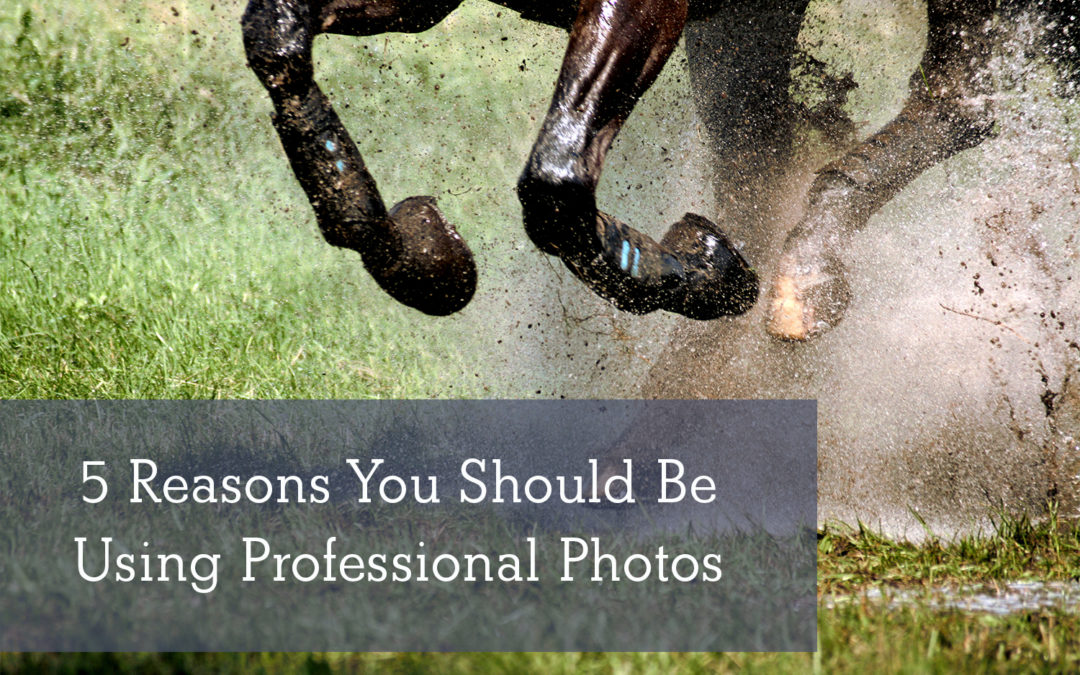 5 Reasons You Should Be Using Professional Equine Photography