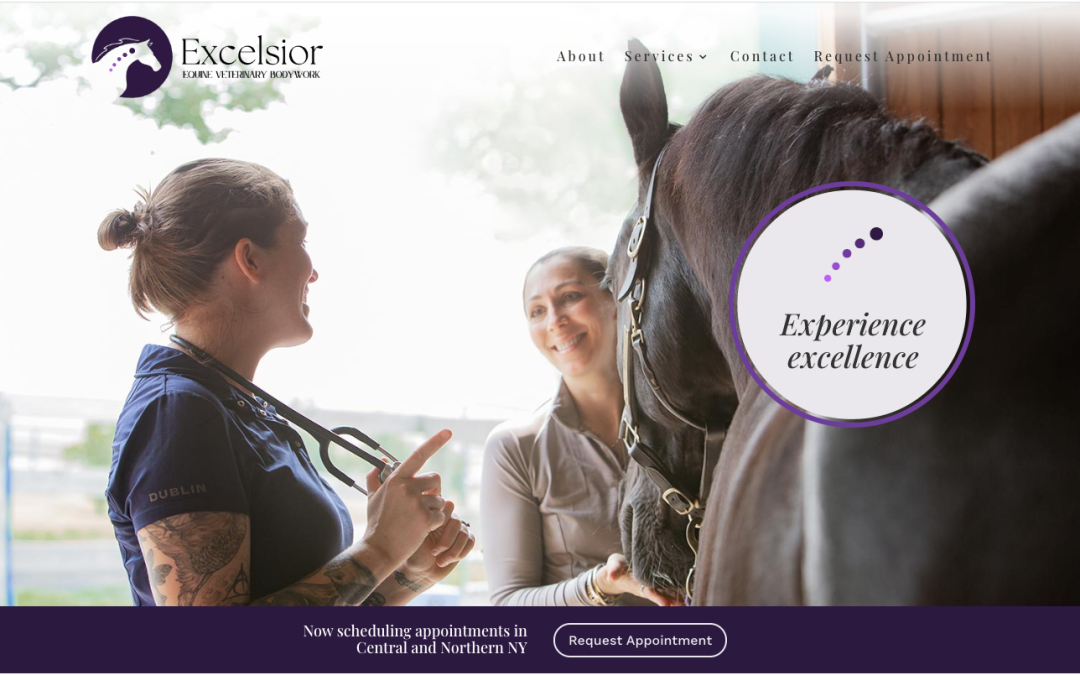 Excelsior Equine Veterinary
